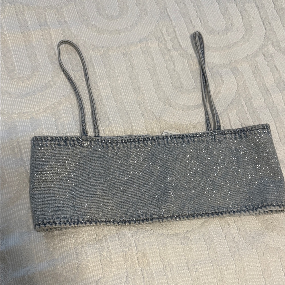 Zara glitter denim top